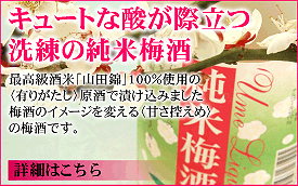 キュートな酸が際立つ 洗練の純米梅酒 最高級酒米「山田錦」100%使用の 〈有りがたし〉原酒で漬け込みました 梅酒のイメージを変える〈甘さ控えめ〉 の梅酒です。
